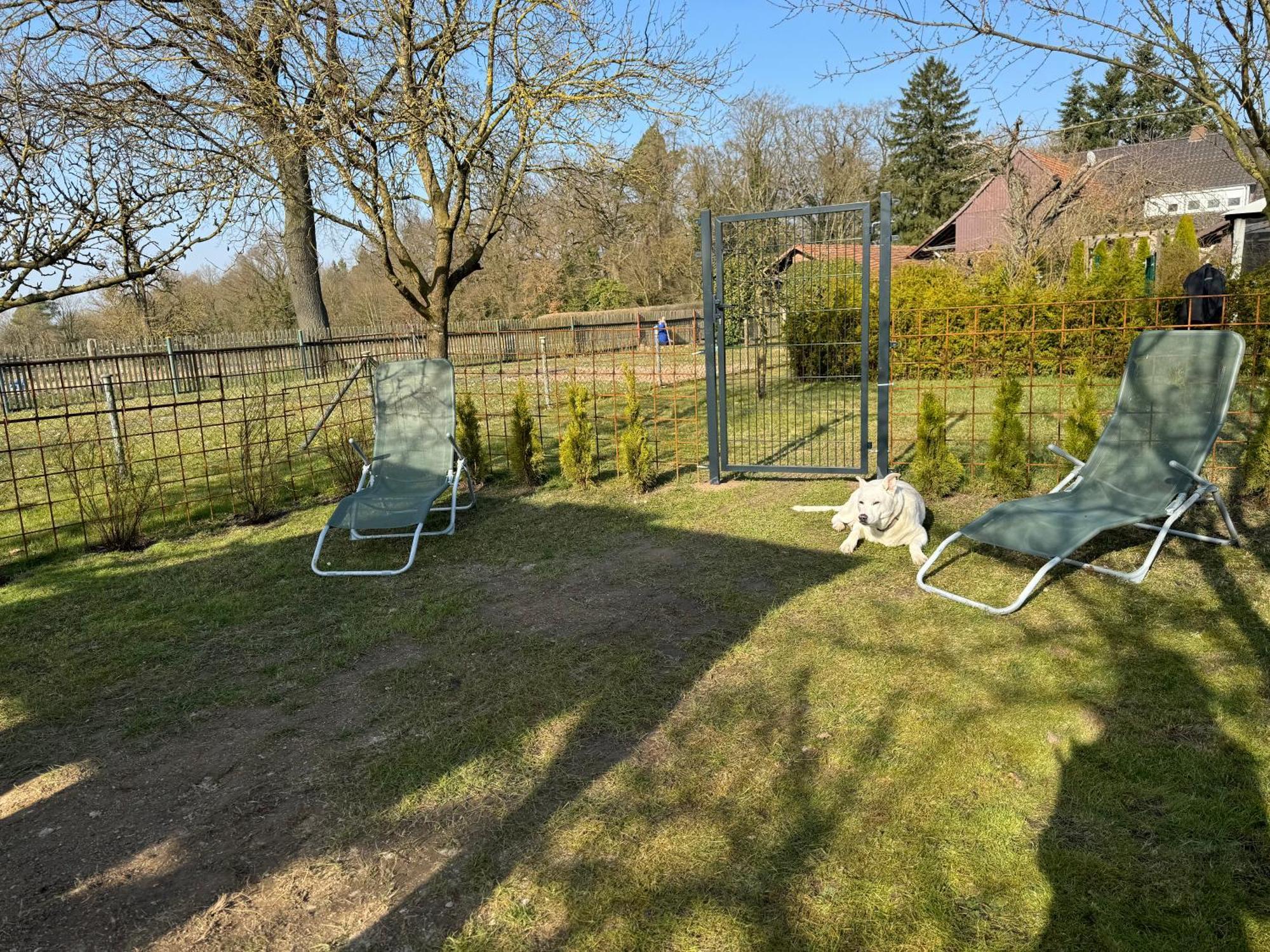 Ferienwohnung Am See Dillich - Eigener Garten - Ruhige Lage - Natur Vor Der Haustuer Borken  Exterior foto